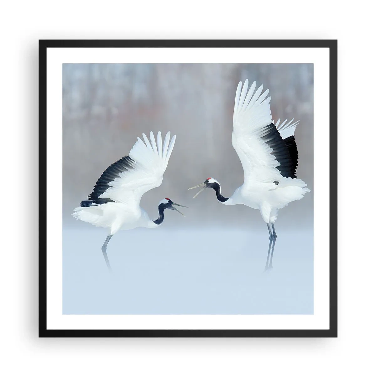 Poster in een zwarte lijst - Dans in de mist - 60x60 cm