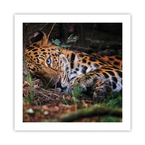 Poster - Geloof me - 50x50 cm