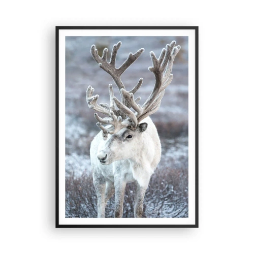 Poster in een zwarte lijst - Portret in de zon - 70x100 cm