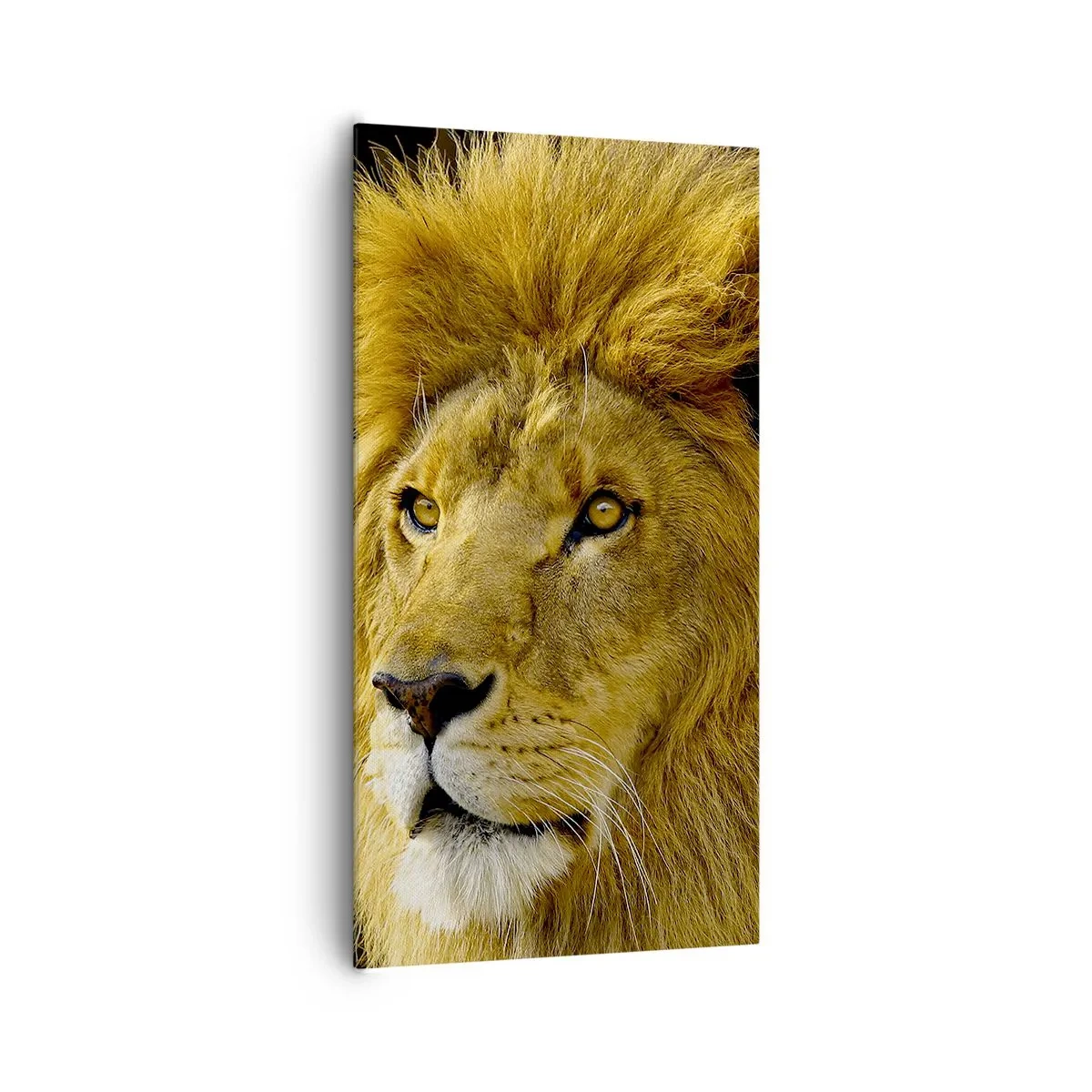 Schilderen op canvas - Portret van de koning - 65x120 cm