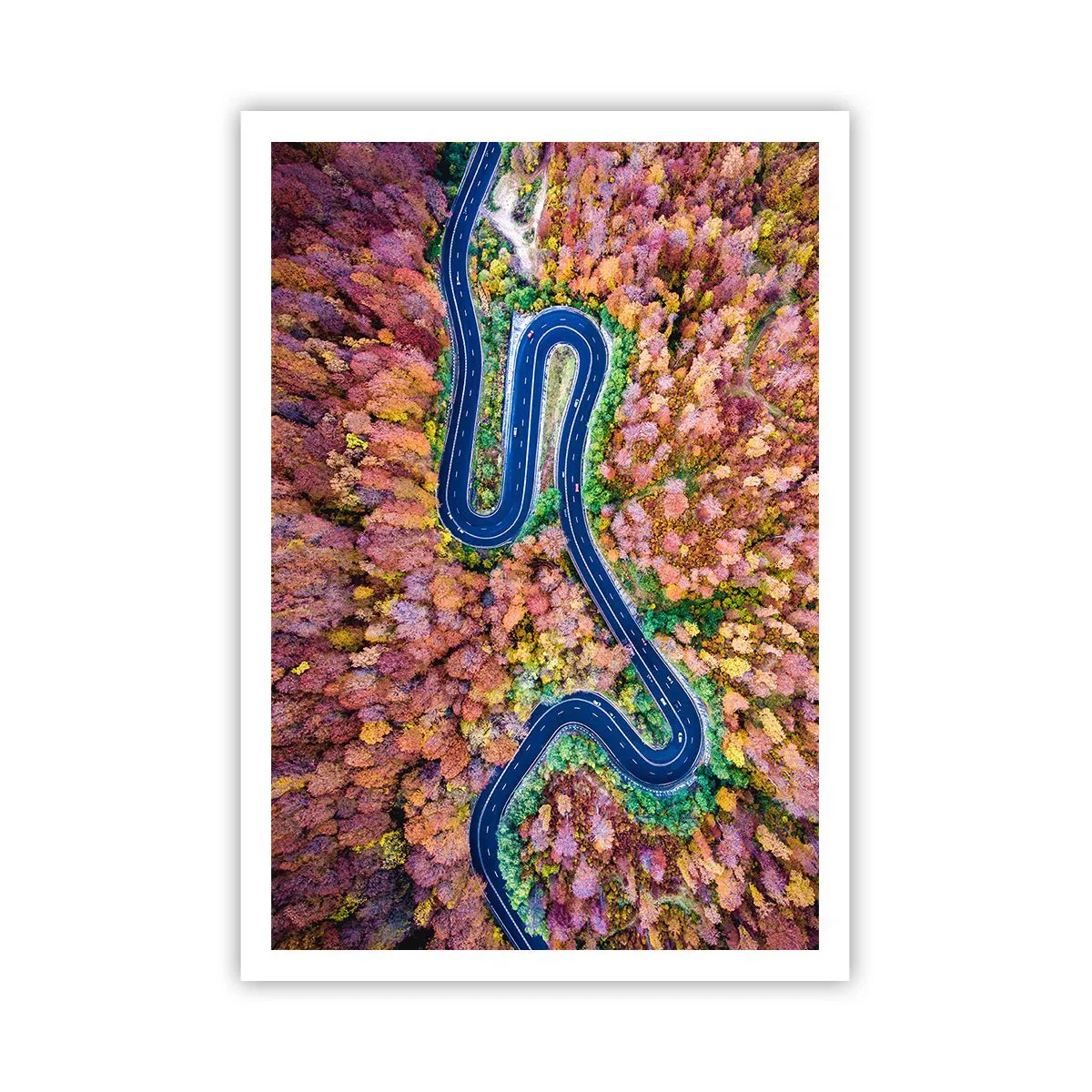 Poster - Een kronkelende weg door het bos - 70x100 cm