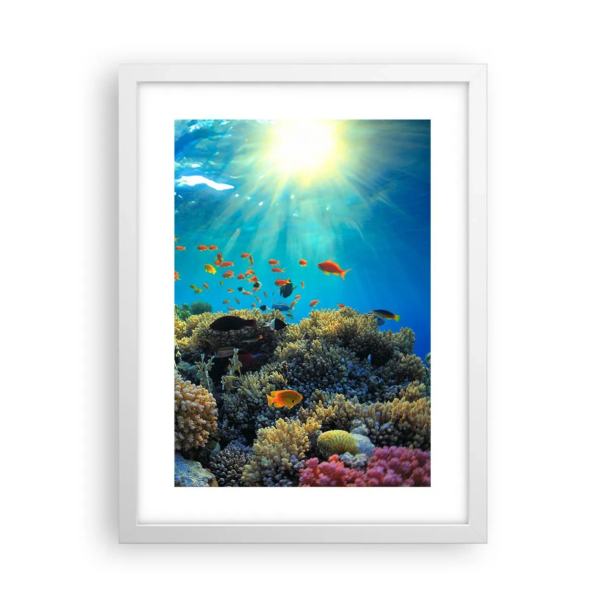 Poster in een witte lijst - Onderwater schatten - 30x40 cm