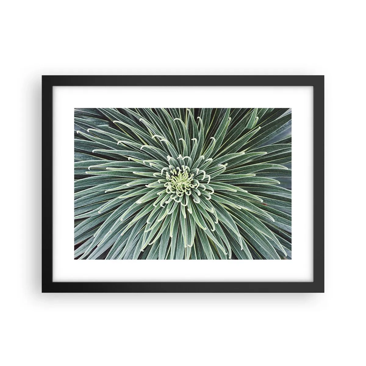 Poster in een zwarte lijst - Een ster is geboren - 40x30 cm