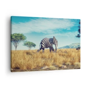 Schilderen op canvas - Zebra in een Afrikaans landschap - 70x50cm - Grijs is niet meer in de mode - Moderne wanddecoratie voor woonkamer en slaapkamer ARTTOR