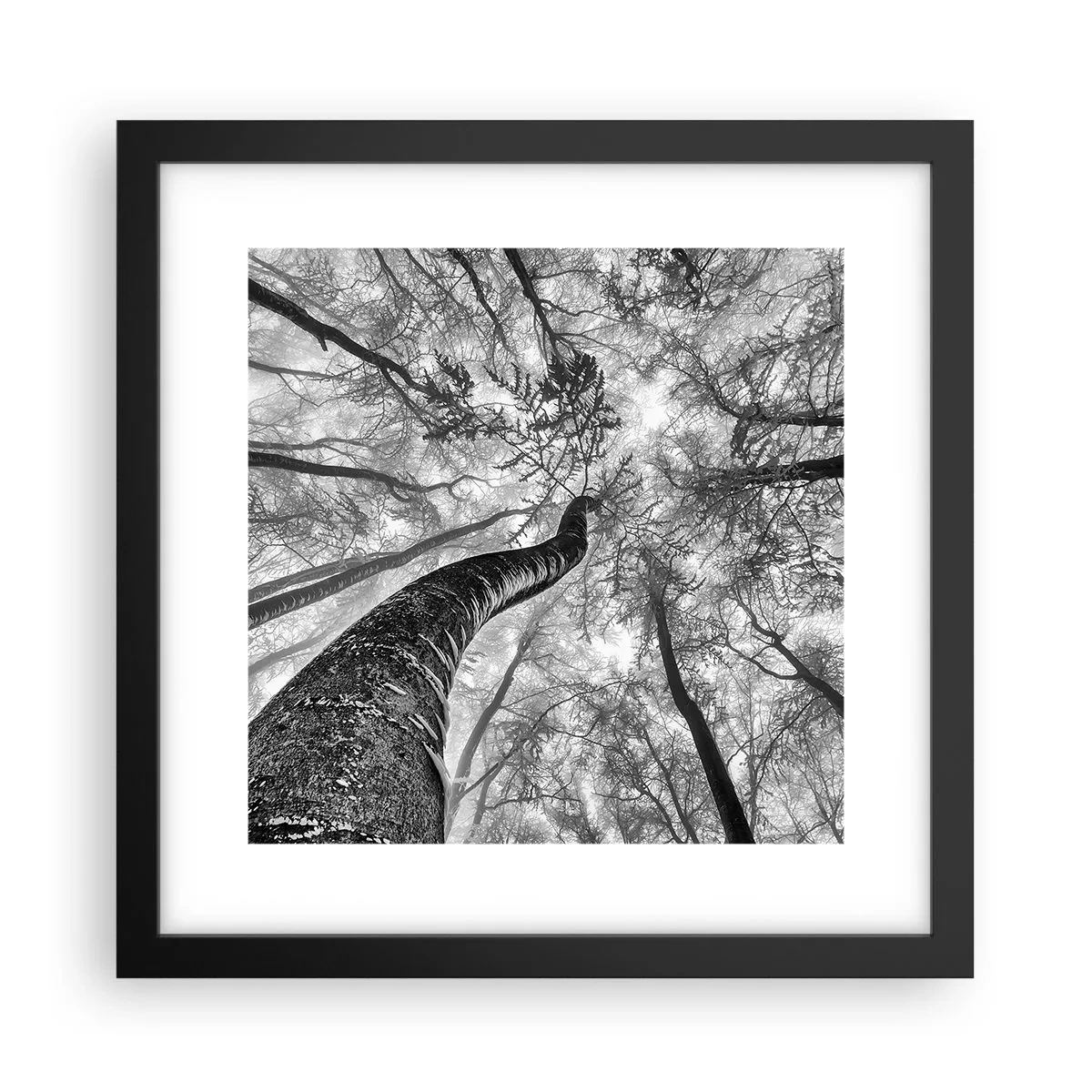 Poster in een zwarte lijst - Race naar het licht - 30x30 cm