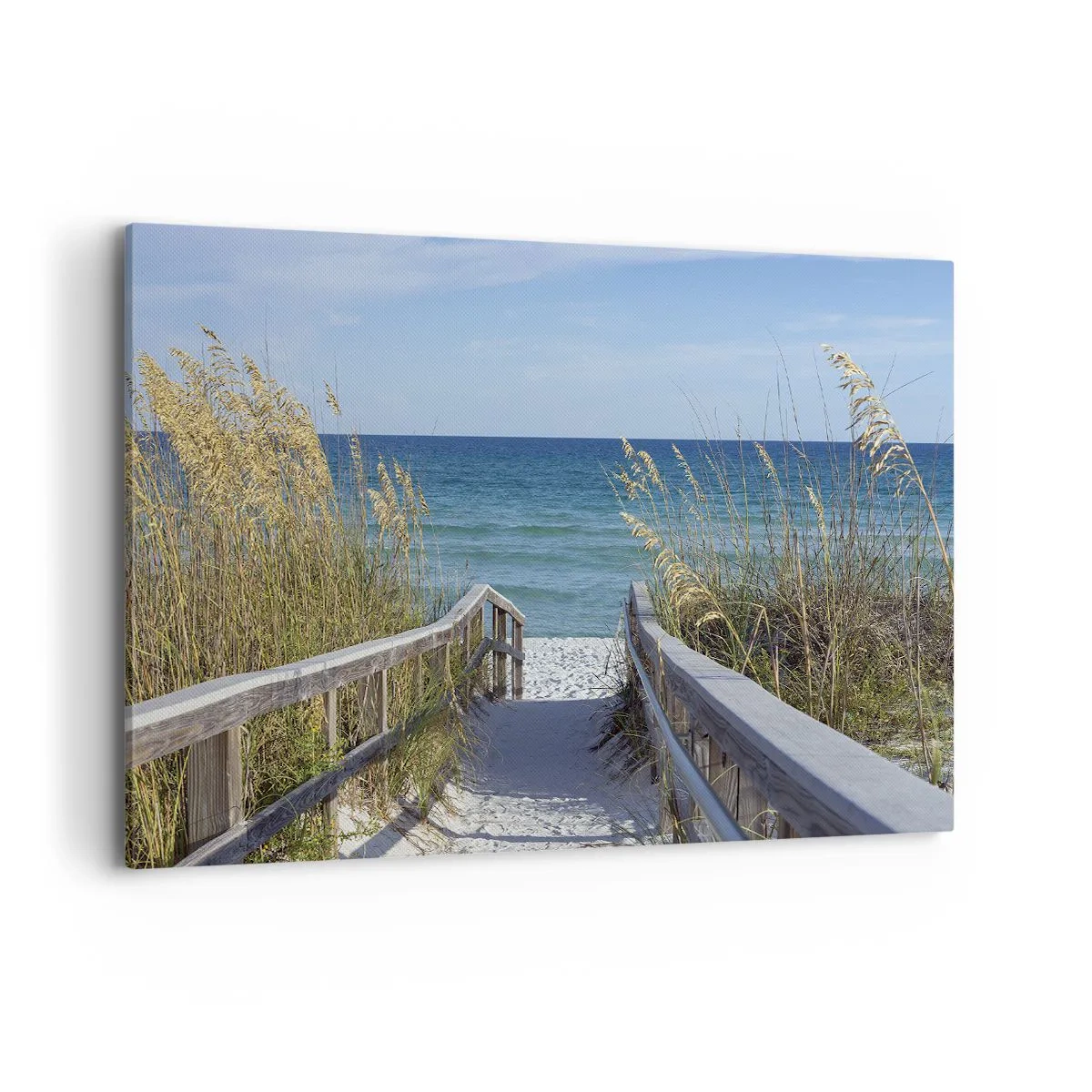 Schilderen op canvas - In de zon, in de wind - 120x80 cm