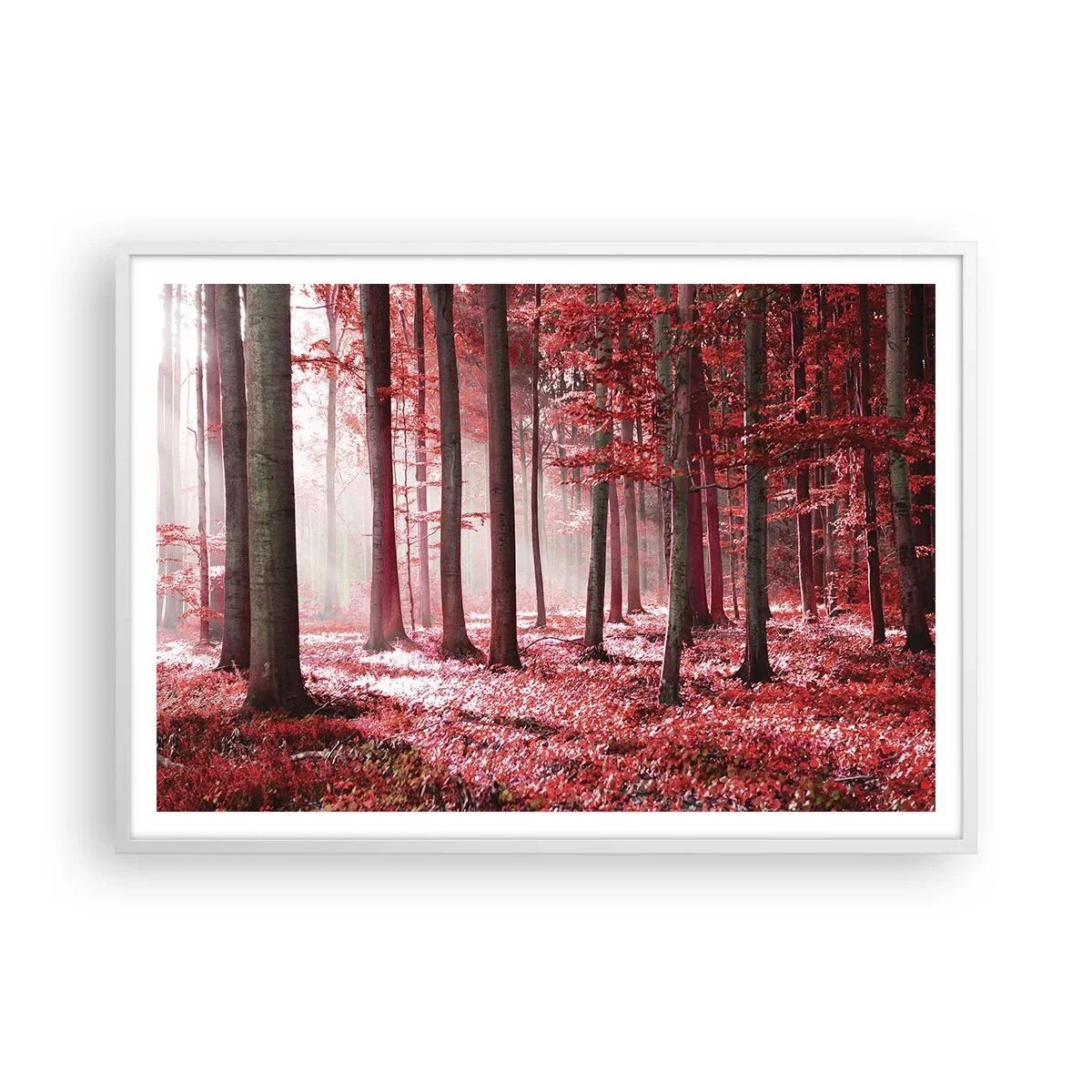 Poster in een witte lijst - Rood is net zo mooi - 100x70 cm