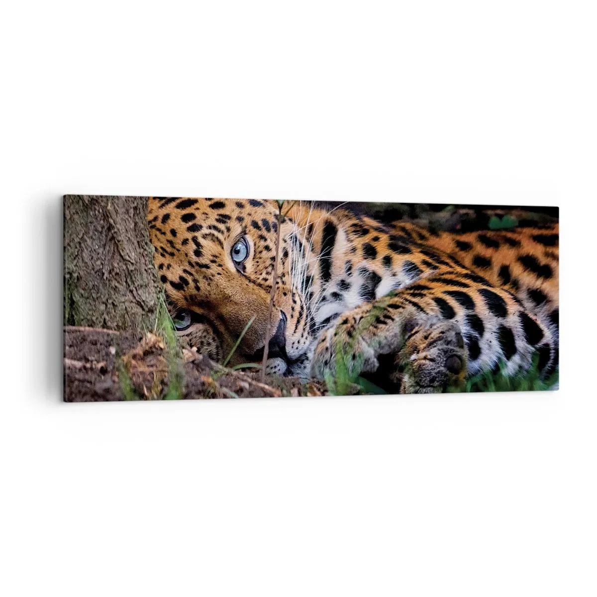 Schilderen op canvas - Geloof me - 140x50 cm