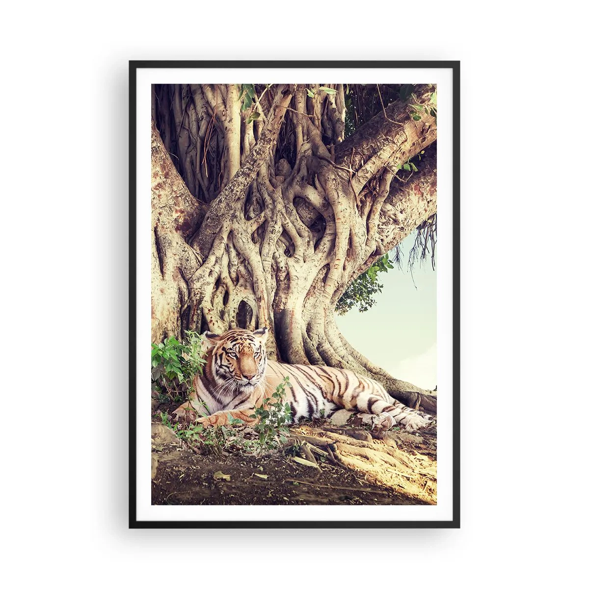 Poster in een zwarte lijst - Uitzicht vanuit het boek Genesis - 70x100 cm