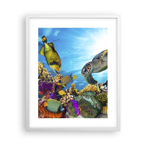 Poster in een witte lijst - Koraalpromenade - 40x50 cm