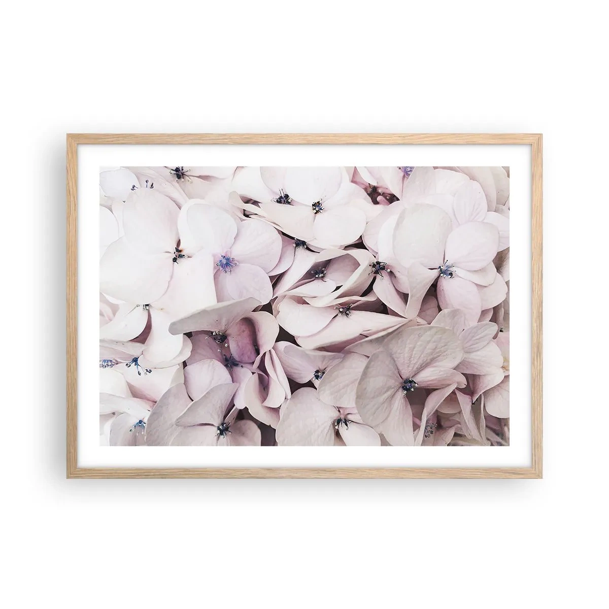 Een poster in een licht eiken lijst - In een vloed van bloemen - 70x50 cm