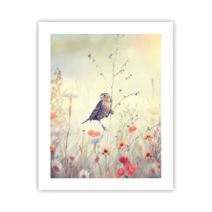Poster - Vogelportret met een weiland op de achtergrond - 40x50 cm