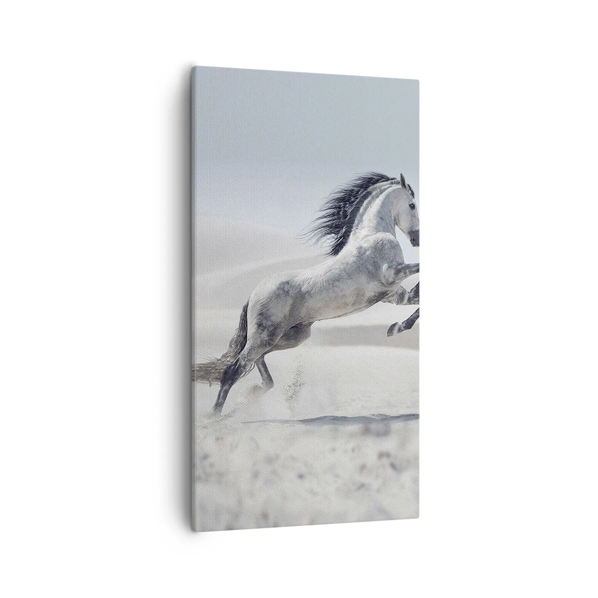 Schilderen op canvas - Arabische prins - 55x100 cm