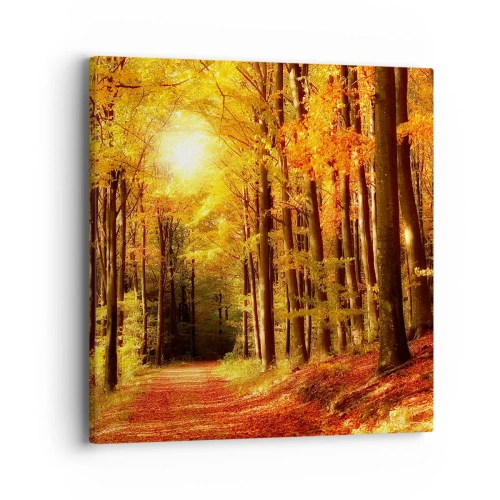 Schilderen op canvas - Gouden herfst op een bosweg - 40x40 cm