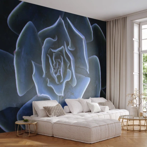 Fotobehang Premium Sand - Woestijn bloem - Agave bloem, Bloem, Natuur - 100x70 cm