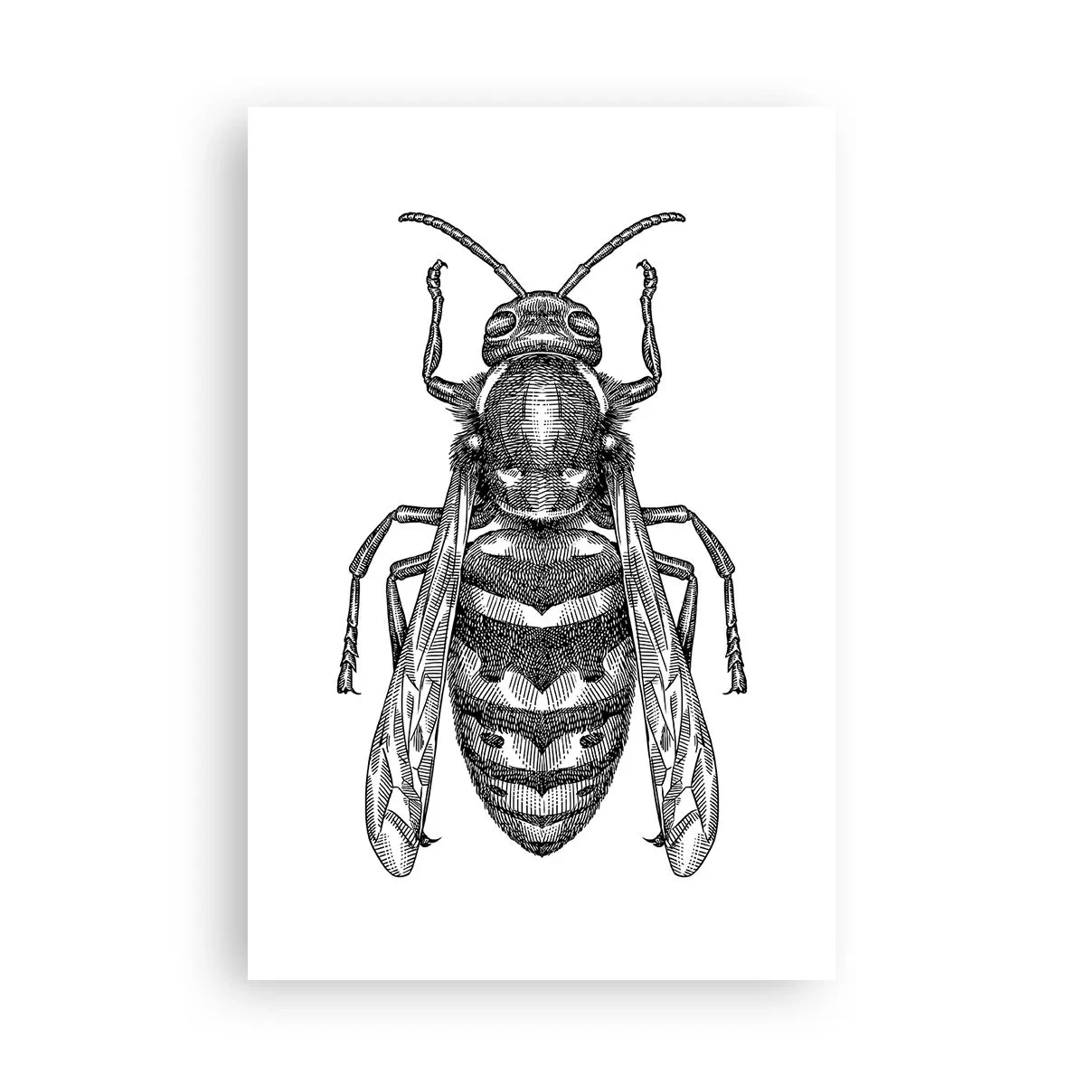 Poster - Van een insectenplaneet - 61x91 cm