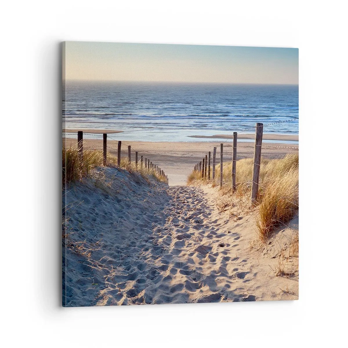 Schilderen op canvas - Het geluid van de zee, het zingen van vogels, een wild strand tussen het gras... - 70x70 cm