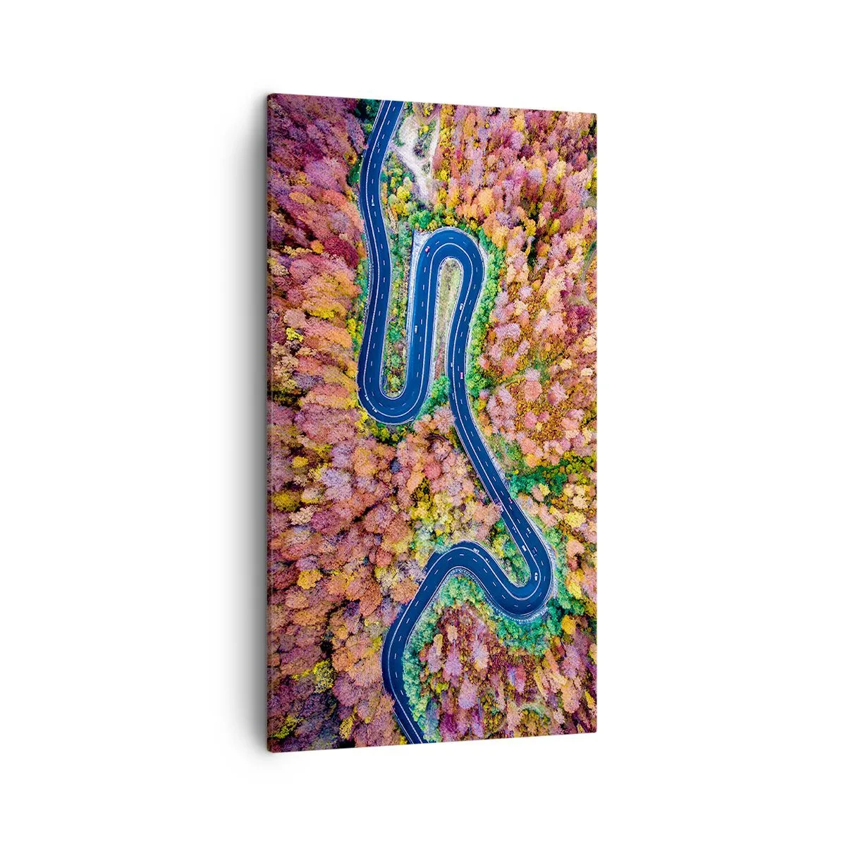 Schilderen op canvas - Een kronkelende weg door het bos - 45x80 cm