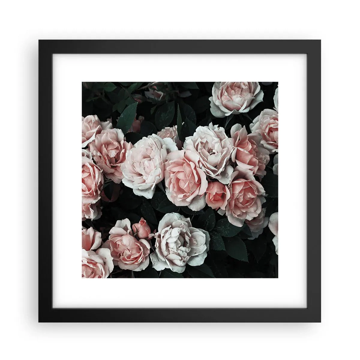Poster in een zwarte lijst - Rozen ensemble - 30x30 cm