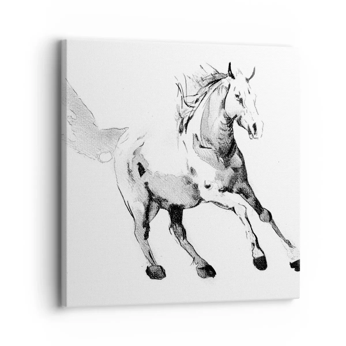 Schilderen op canvas - Ongetemde ziel - 30x30 cm