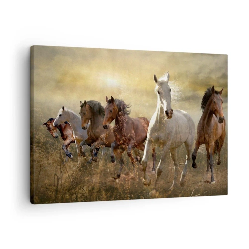 Schilderen op canvas - Een groep galopperende paarden tegen de achtergrond van de ondergaande zon - 70x50cm - Lang leve de vrijheid! - Moderne wanddecoratie voor woonkamer en slaapkamer ARTTOR