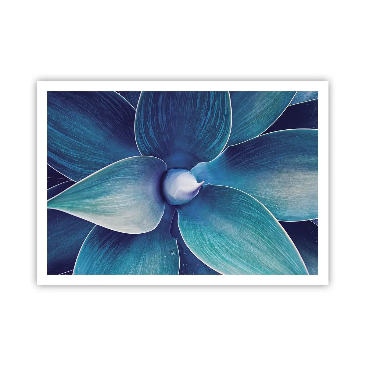 Poster - Blauw uit de lucht - 100x70 cm