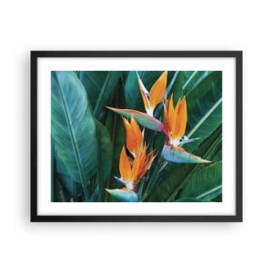 Poster in een zwarte lijst - Is het een bloem of is het een vogel? - 50x40 cm