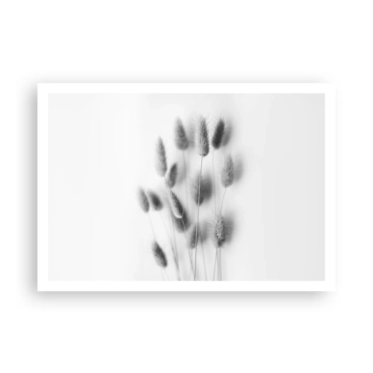 Poster - Haar luchtigheid gras - 100x70 cm