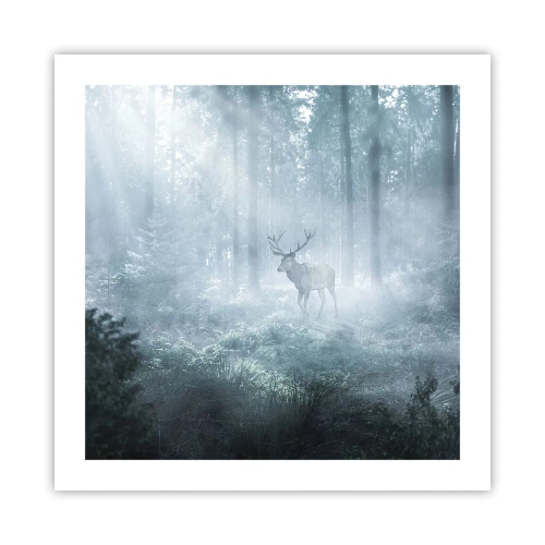 Poster - Ochtendbezoek aan het landgoed - 50x50 cm