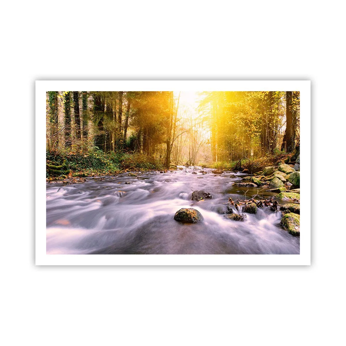 Poster - Malachiet in een zilveren en gouden lijst - 91x61 cm
