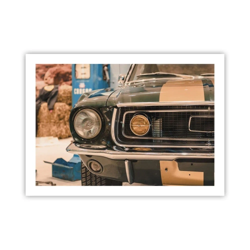 Poster - Ontmoeting met een legende - 70x50 cm