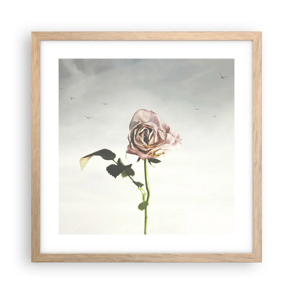 Een poster in een licht eiken lijst - Begroeting van de lente - 40x40 cm
