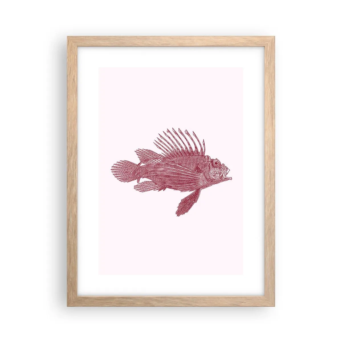 Een poster in een licht eiken lijst - Inwoner van exotische wateren - 30x40 cm