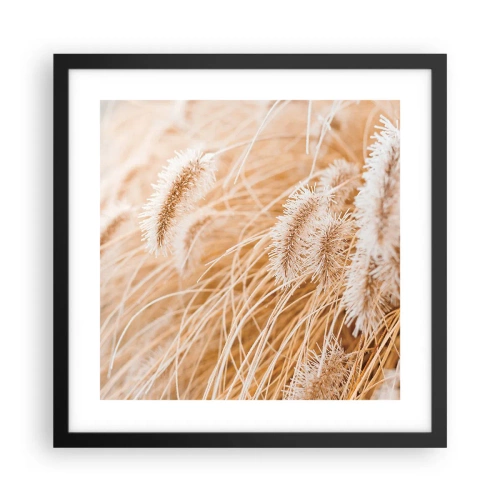 Poster in een zwarte lijst - Het gouden geritsel van het gras - 40x40 cm