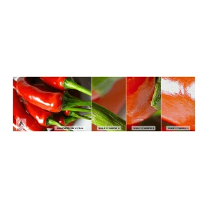Fotobehang Monster Premium Canvas - Sappig, glanzend, glad - Gastronomie, Peper, Groenten - 100x30 cm
