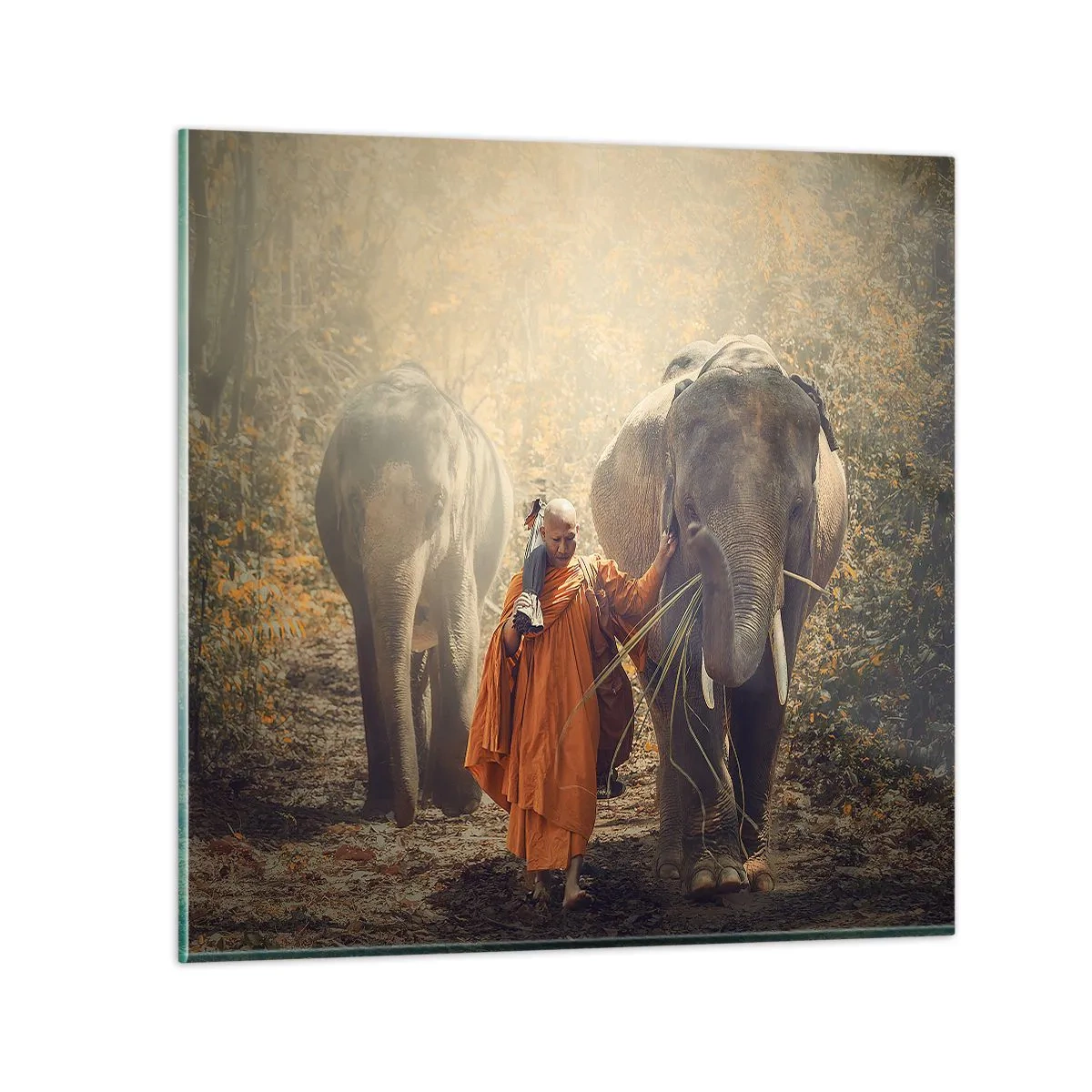 Schilderen op glas - Volledig begrip - 40x40 cm