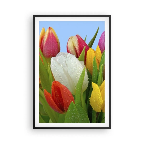 Poster in een zwarte lijst - Een bloemenregenboog in dauwdruppels - 61x91 cm