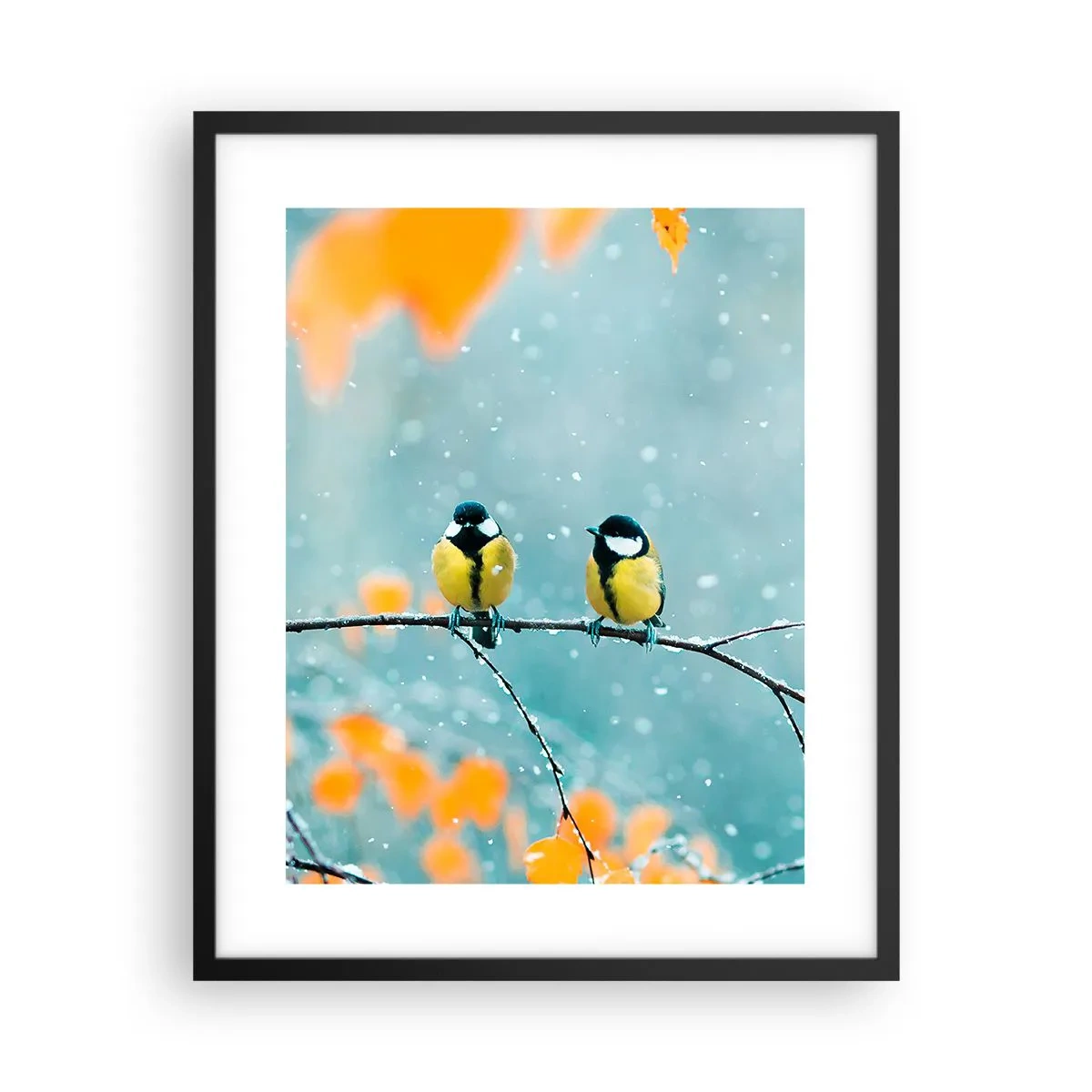 Poster in een zwarte lijst - Vogelroddel - 40x50 cm
