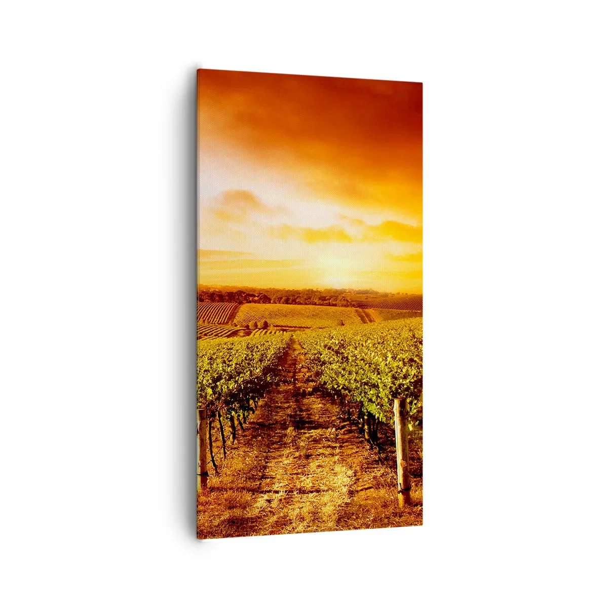 Schilderen op canvas - Licht fruitig met een vleugje zonneschijn - 65x120 cm