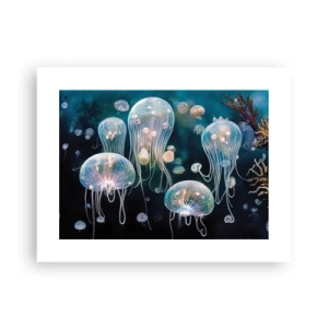 Poster - Ondferwaterbal - 40x30 cm