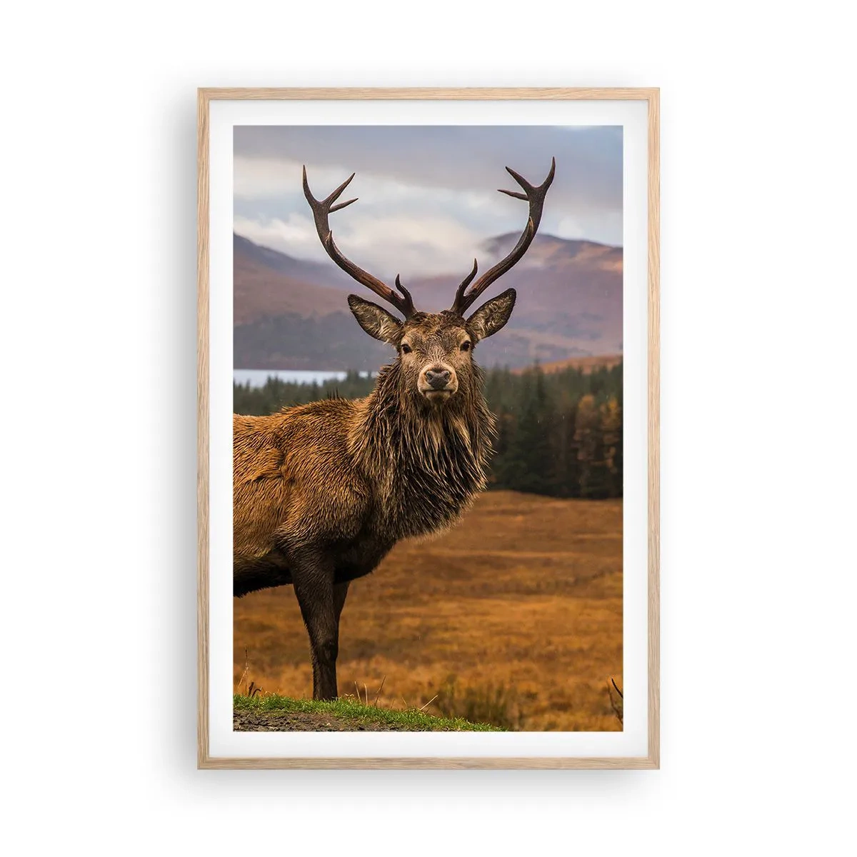 Een poster in een licht eiken lijst - De majesteit van de natuur - 61x91 cm
