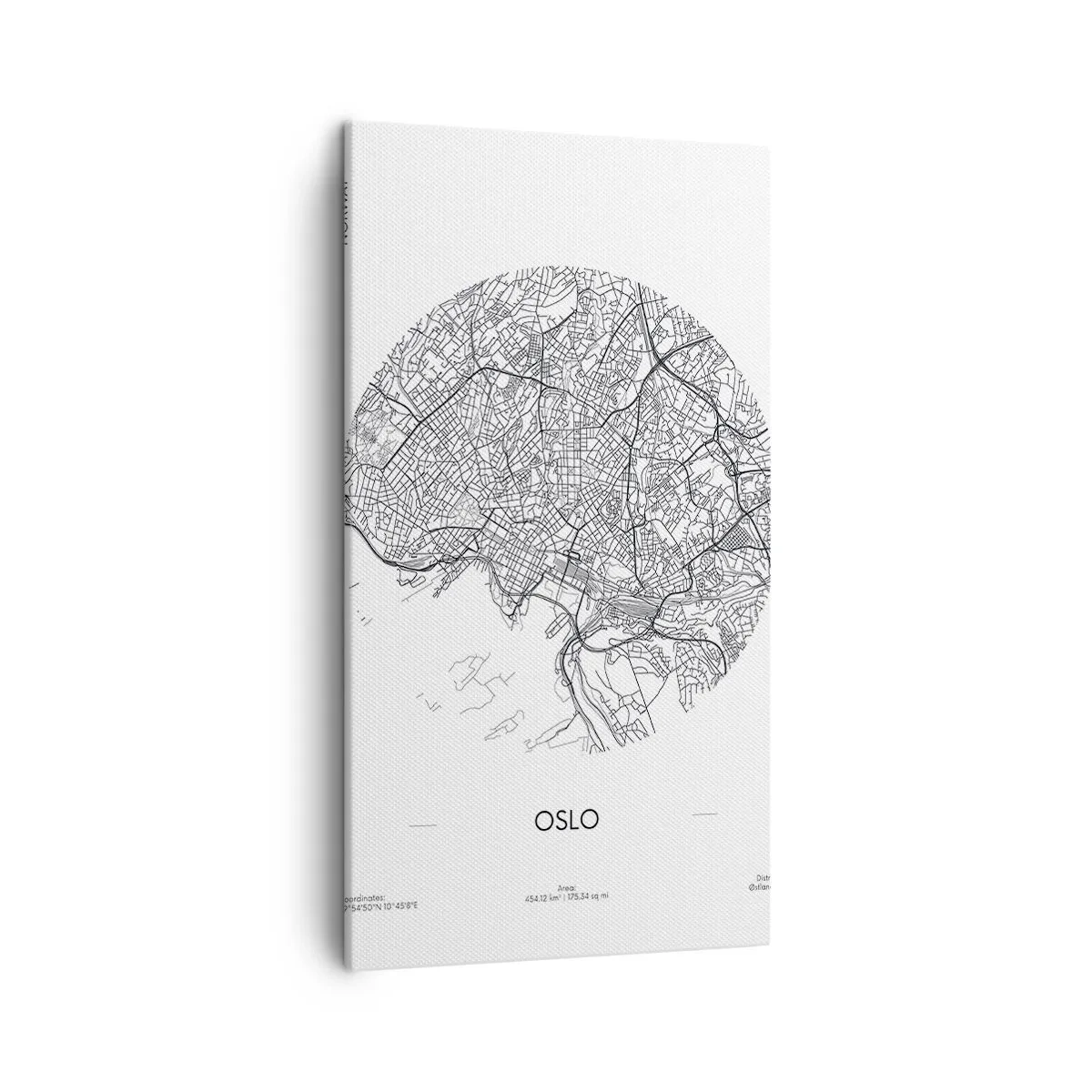 Schilderen op canvas - Anatomie van Oslo - 45x80 cm