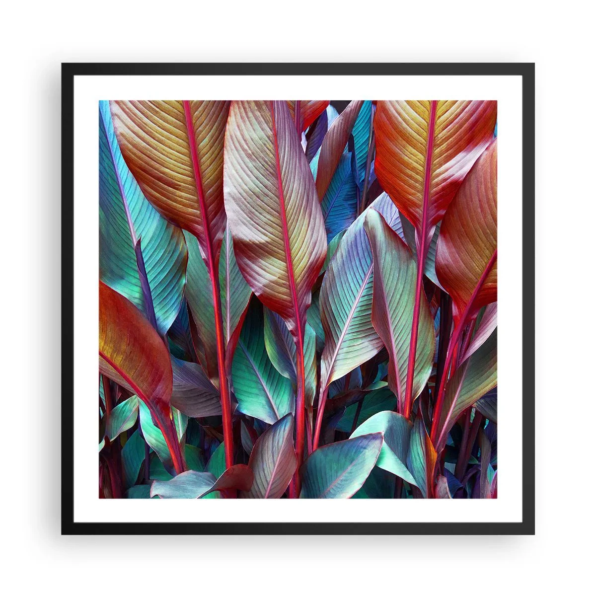 Poster in een zwarte lijst - Een kleurrijk struikgewas - 60x60 cm