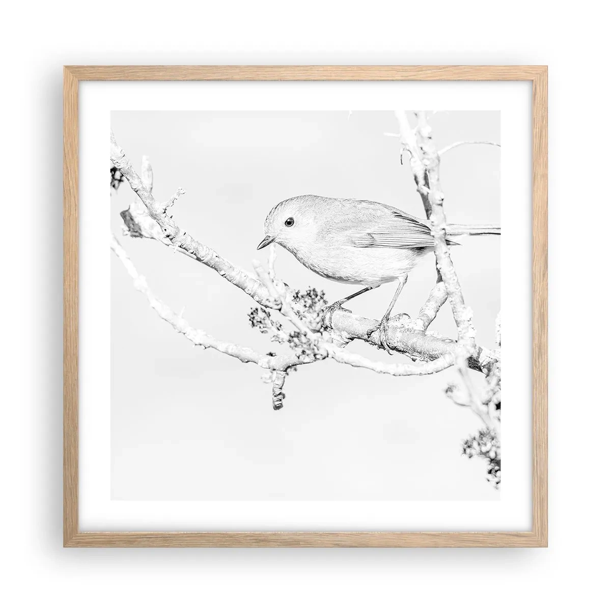 Een poster in een licht eiken lijst - Winterochtend - 50x50 cm