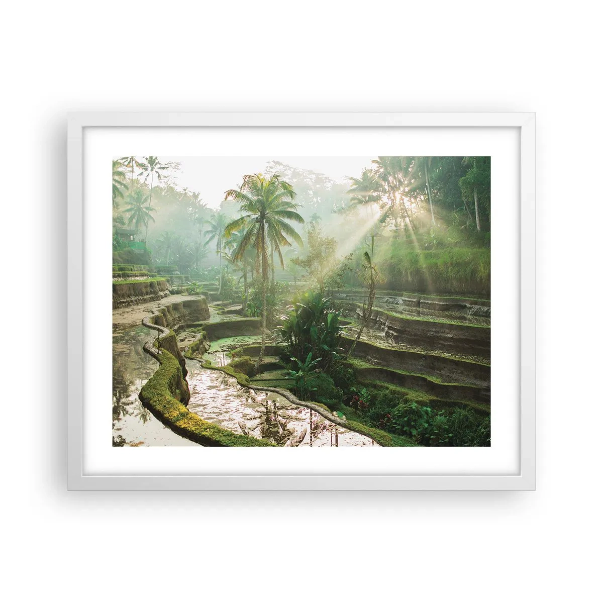 Poster in een witte lijst - Opgroeien in de zon - 50x40 cm