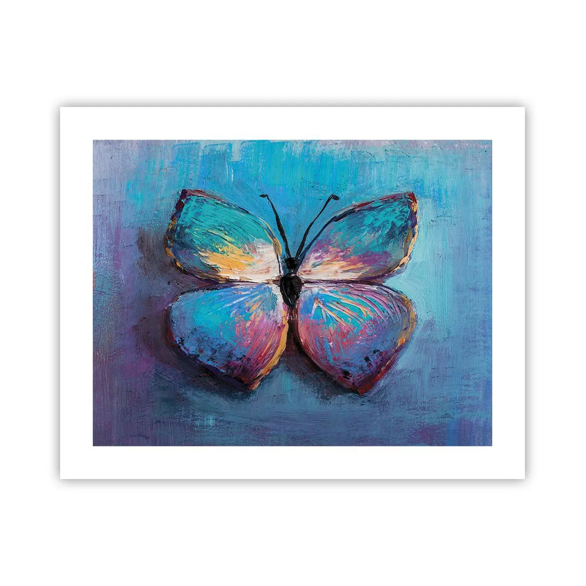 Poster - In al zijn glorie - 50x40 cm