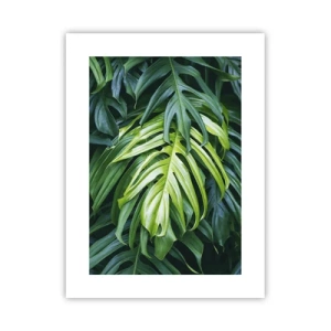 Poster - Dompel jezelf onder in de frisheid - 30x40 cm