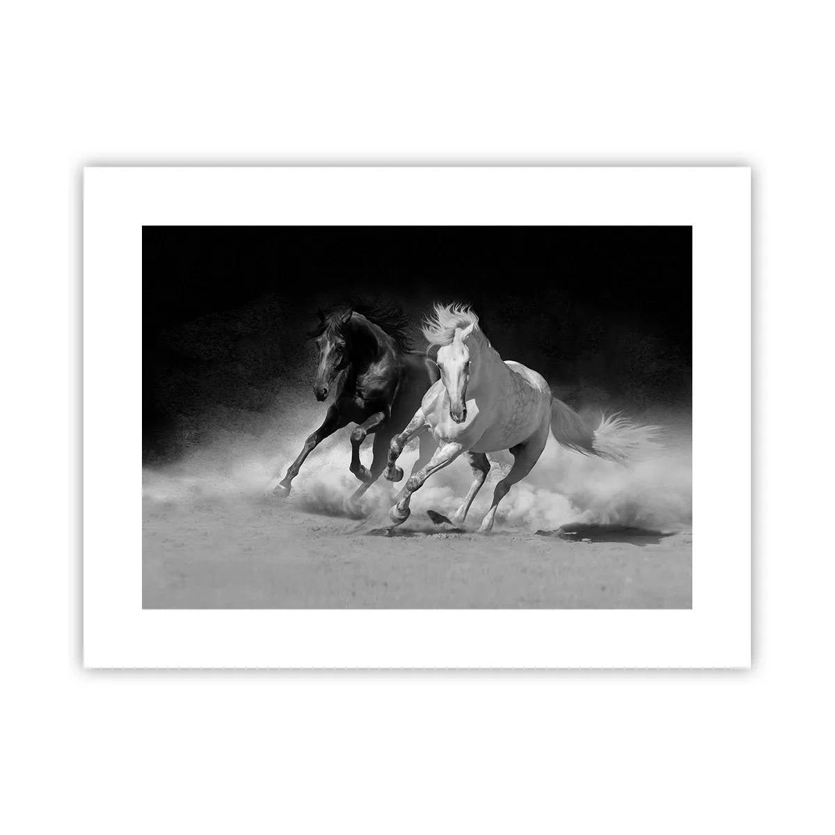 Poster - Vrijheidsgalop - 40x30 cm