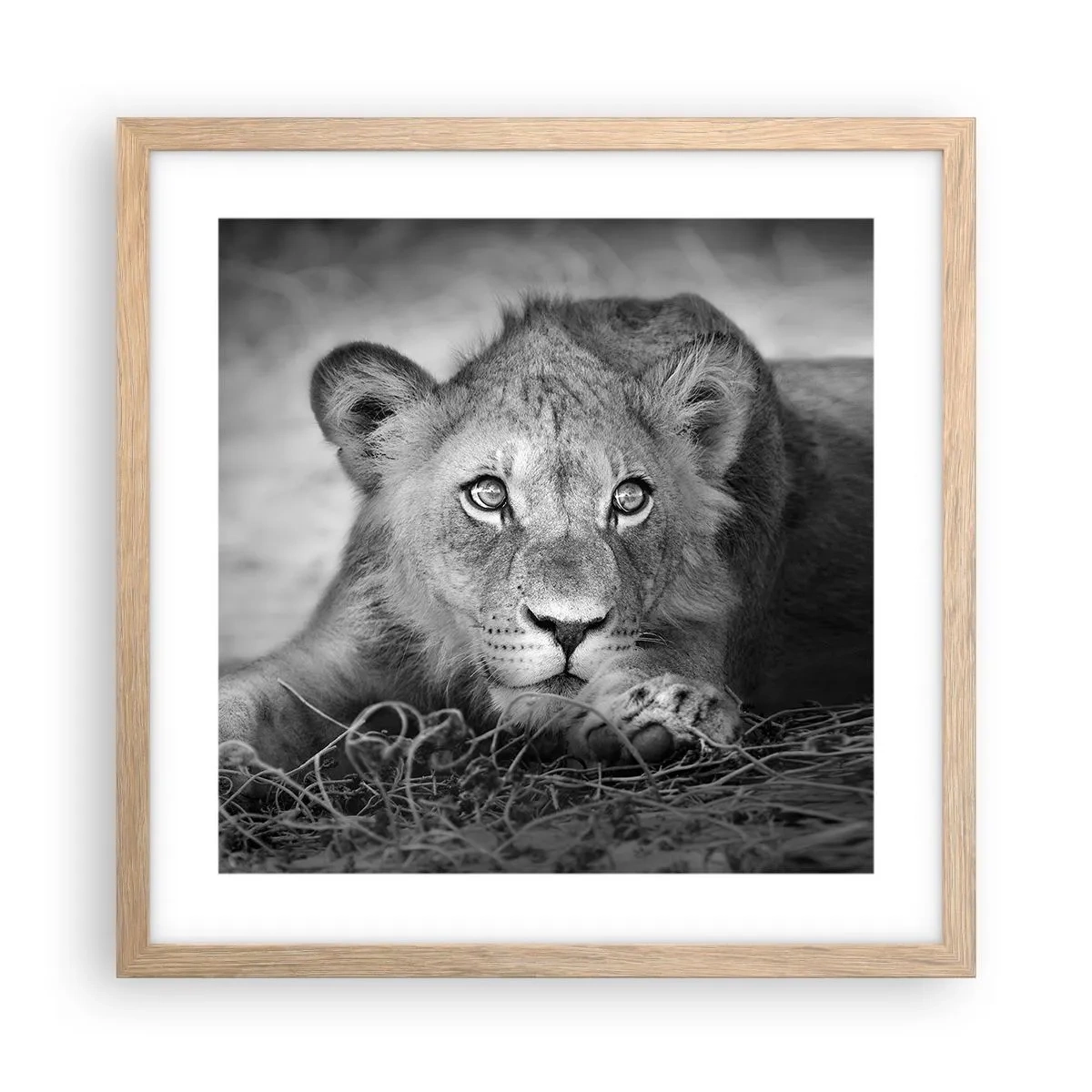 Een poster in een licht eiken lijst - Koninklijke puppy - 40x40 cm