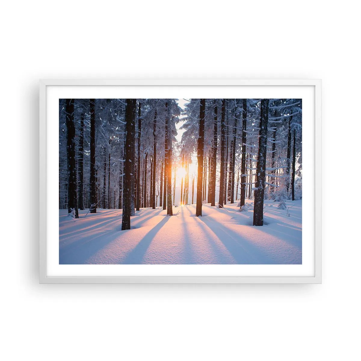 Poster in een witte lijst - Duidelijk in zwart-wit - 70x50 cm